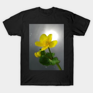 Marsh Marigold T-Shirt